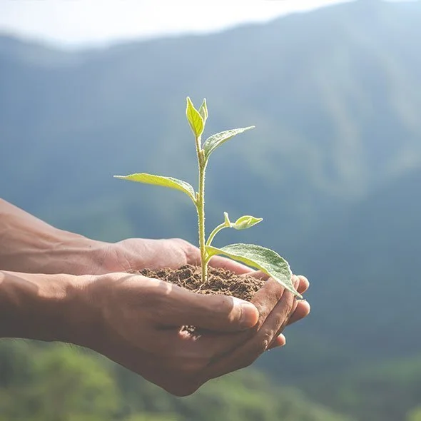 Respectueux de l'environnement et de la santé